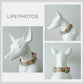 Flowering Tulip Dog Collar, Personalized Engraved Name Buckle, Nylon Leash Set