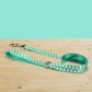 Personalized Green Parrot Dog Collar and Leash Set, Engraved Name Buckle
