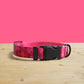 Personalized Strawberry Jelly Dog Collar and Leash Set, Engraved Name Buckle