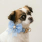 Custom Engraved Blue Lace Dog Collar Bow Tie Set – Personalized Pet Accessory