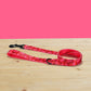 Personalized Strawberry Jelly Dog Collar and Leash Set, Engraved Name Buckle