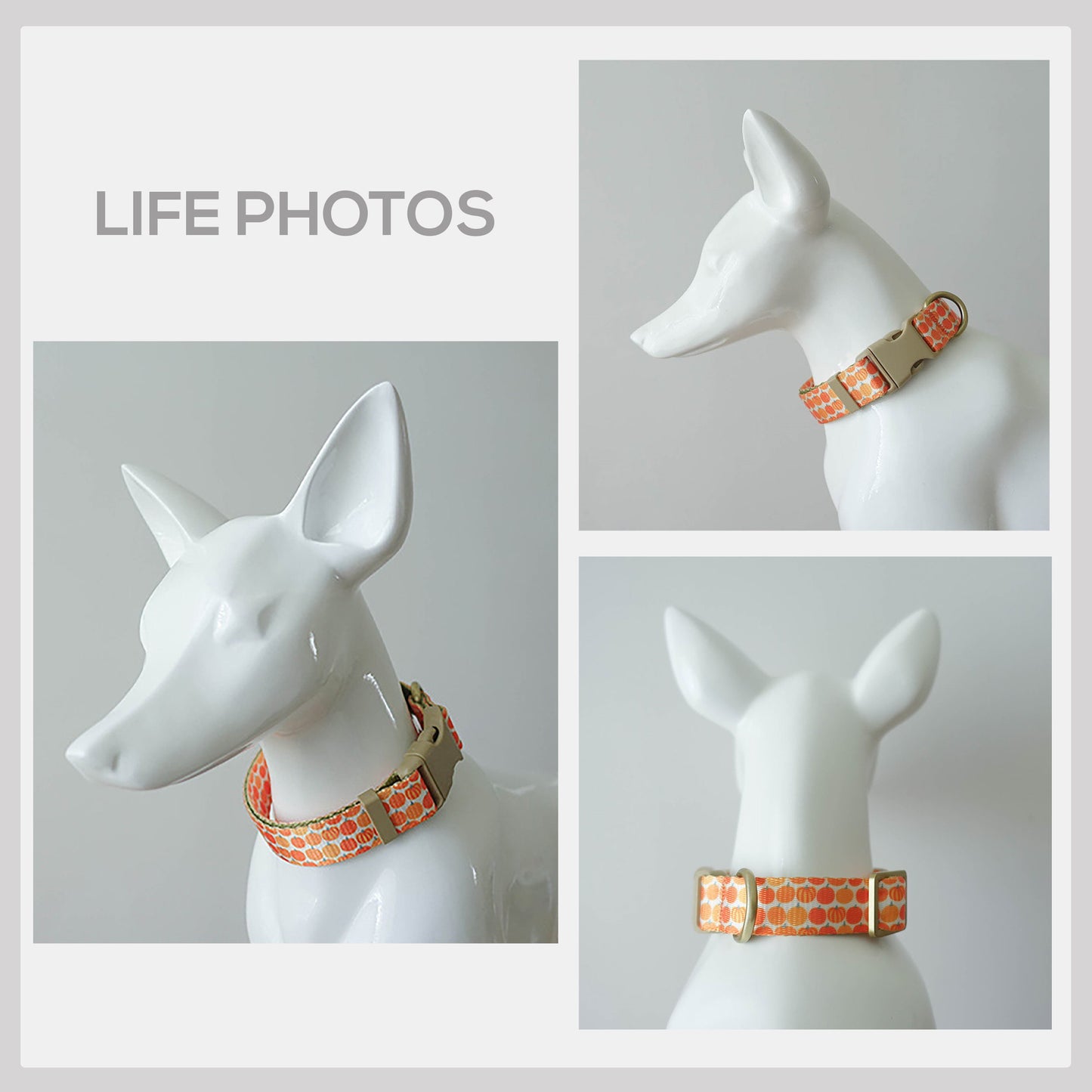 Harvest Pumpkin Dog Collar and Leash Set, Personalized Engraved Buckle, Nylon Fabric