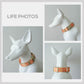 Harvest Pumpkin Dog Collar and Leash Set, Personalized Engraved Buckle, Nylon Fabric