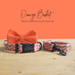 Orange Basket Dog Collar and Leash Set, Personalized Engraved Name Buckle
