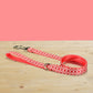 Personalized Nylon Dog Collar, Leash, Bowtie with Engraved Name Buckle