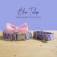 Personalized Blue Tulip Dog Collar and Leash Set, Engraved Name Buckle