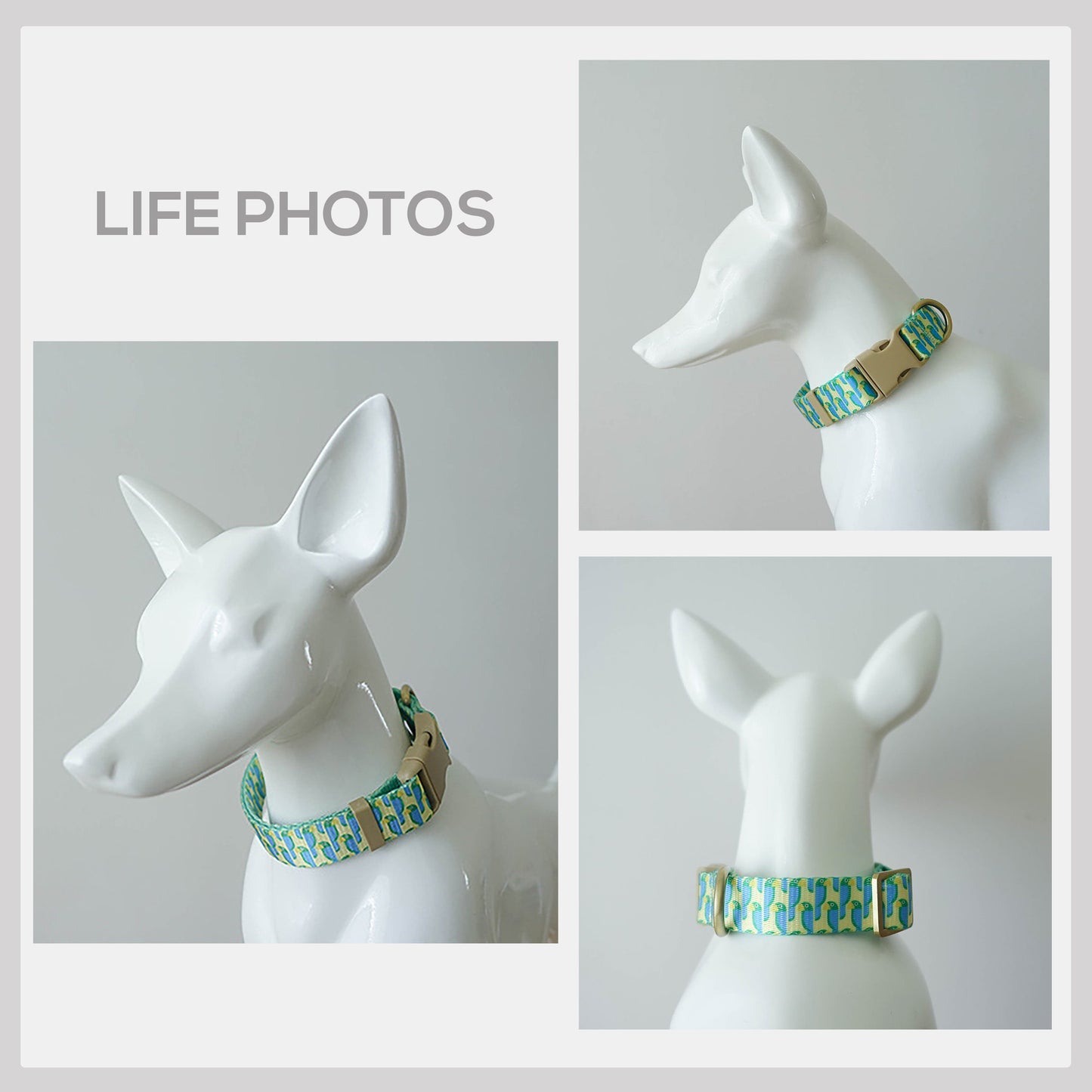 Personalized Green Parrot Dog Collar and Leash Set, Engraved Name Buckle
