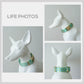 Personalized Green Parrot Dog Collar and Leash Set, Engraved Name Buckle