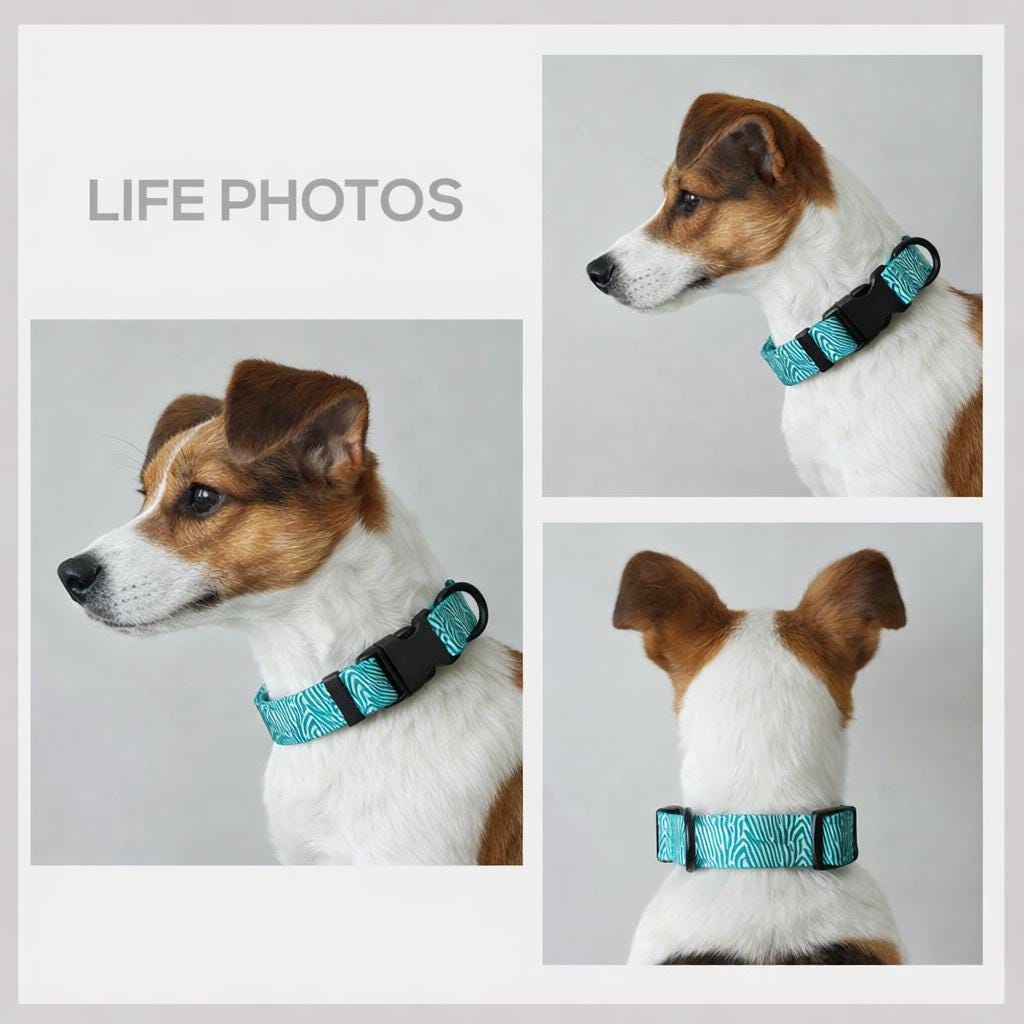 Personalised Green Zebra Dog Collar | Lightweight with Bow & Leash Combo