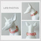 Pink Rose Floral Dog Collar and Leash Set with Bowtie, Personalized Name Buckle