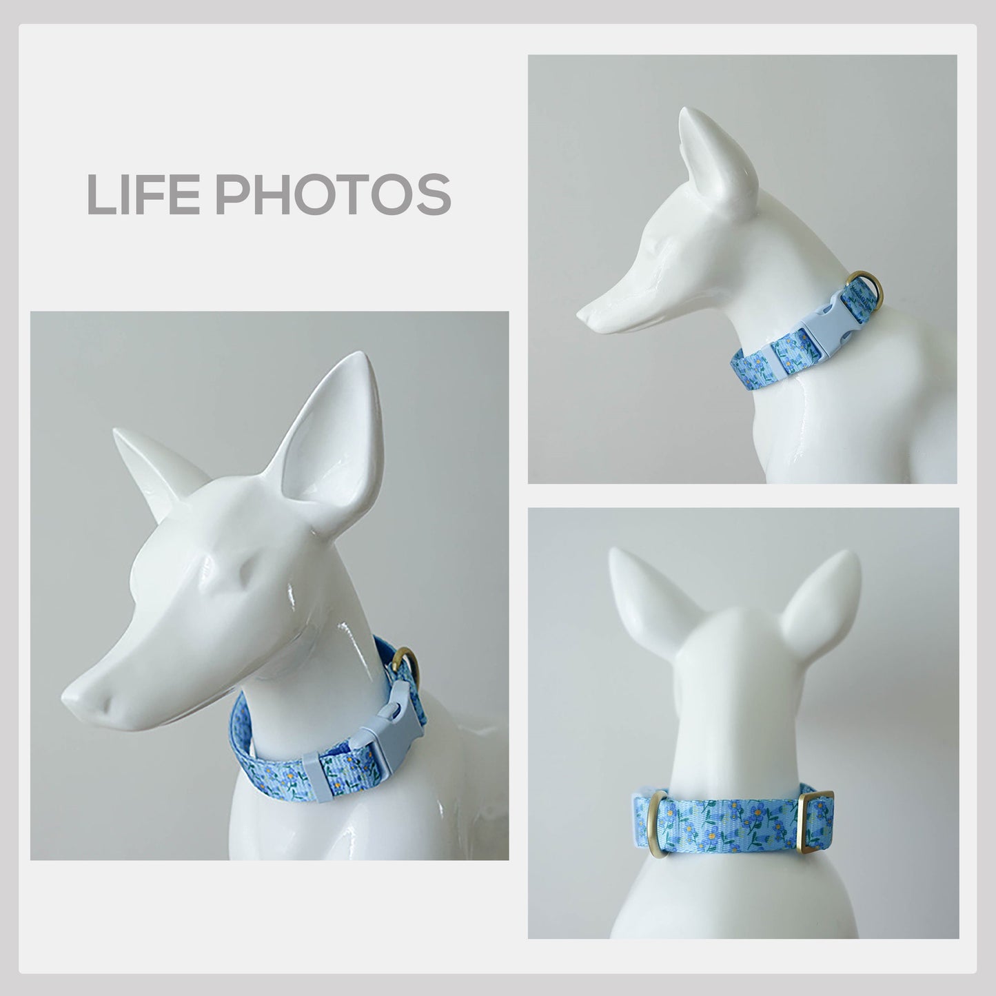 Blue Violet Floral Dog Collar and Leash Set, Personalized Name Buckle