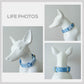Blue Violet Floral Dog Collar and Leash Set, Personalized Name Buckle