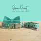 Personalized Green Parrot Dog Collar and Leash Set, Engraved Name Buckle