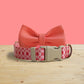 Personalized Nylon Dog Collar, Leash, Bowtie with Engraved Name Buckle