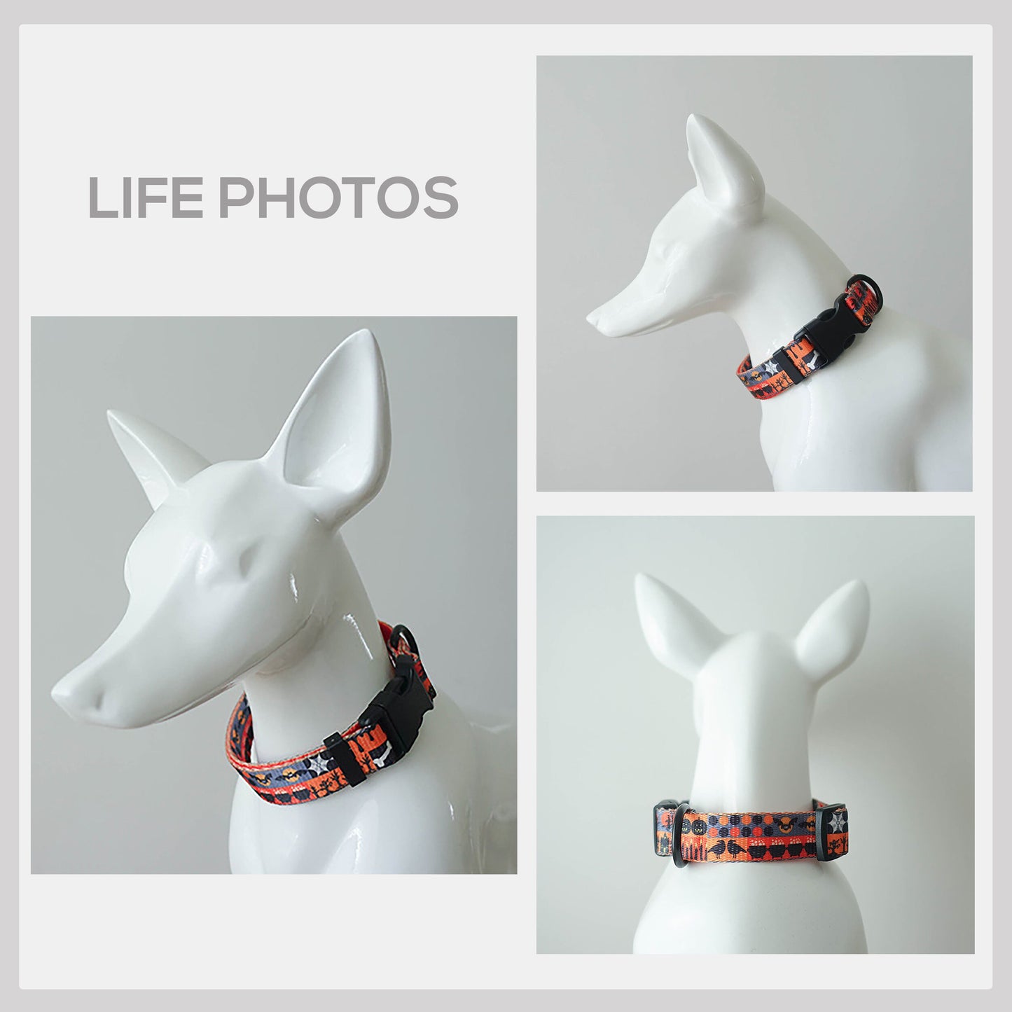 Personalized Halloween Dog Collar and Leash Set, Engraved Name Buckle
