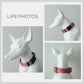 Personalized Dog Collar and Leash Set, Red Green Pattern, Engraved Name Buckle