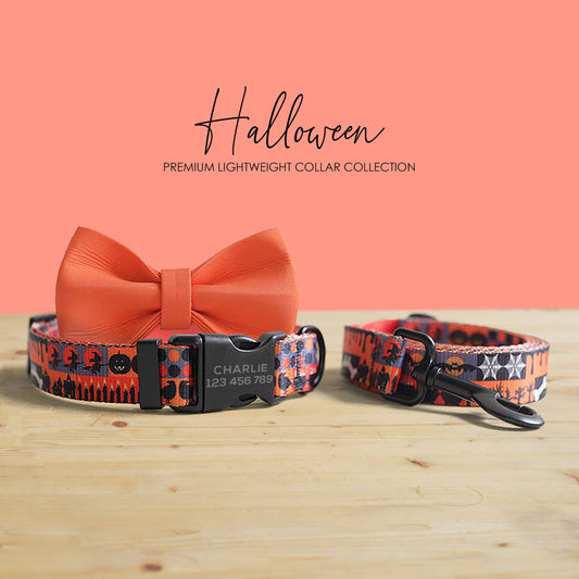 Personalized Halloween Dog Collar and Leash Set, Engraved Name Buckle