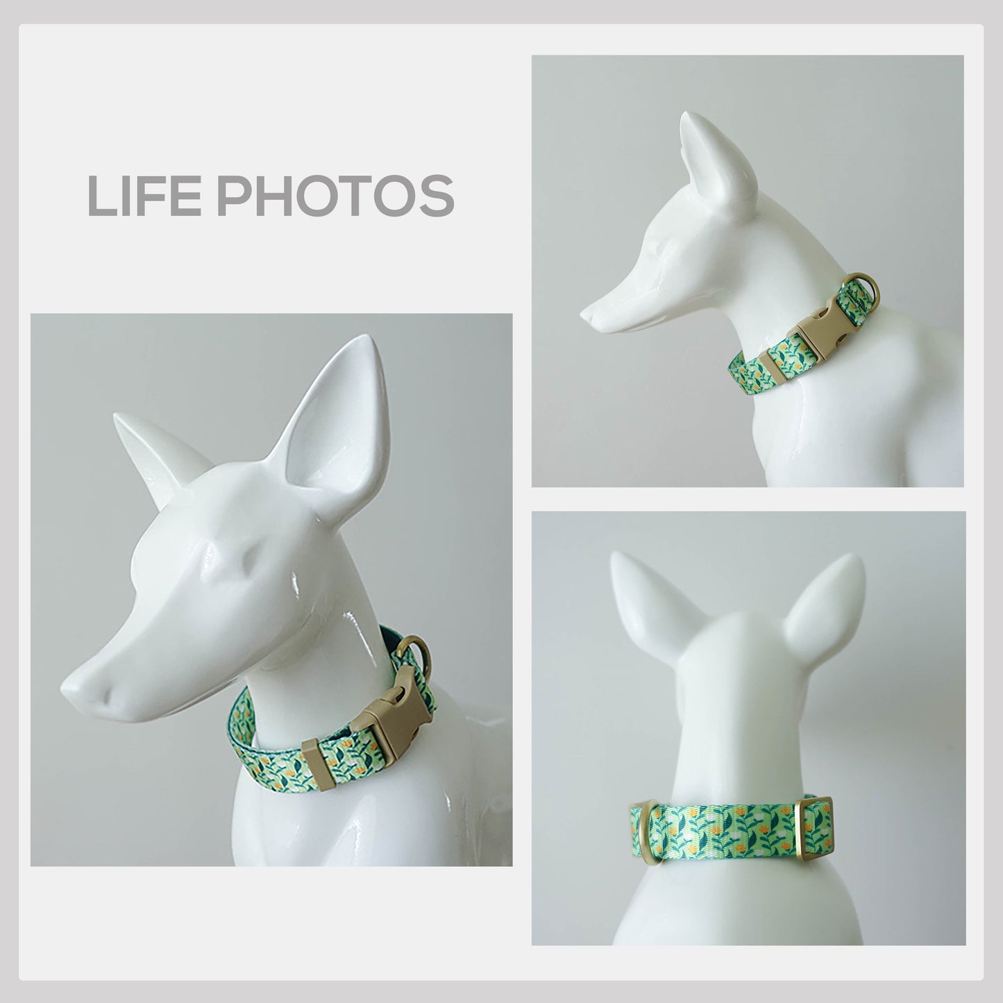Flower Field Dog Collar, Personalized Nylon Leash, Engraved Name Buckle, Handmade Pet Accessory