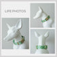 Flower Field Dog Collar, Personalized Nylon Leash, Engraved Name Buckle, Handmade Pet Accessory
