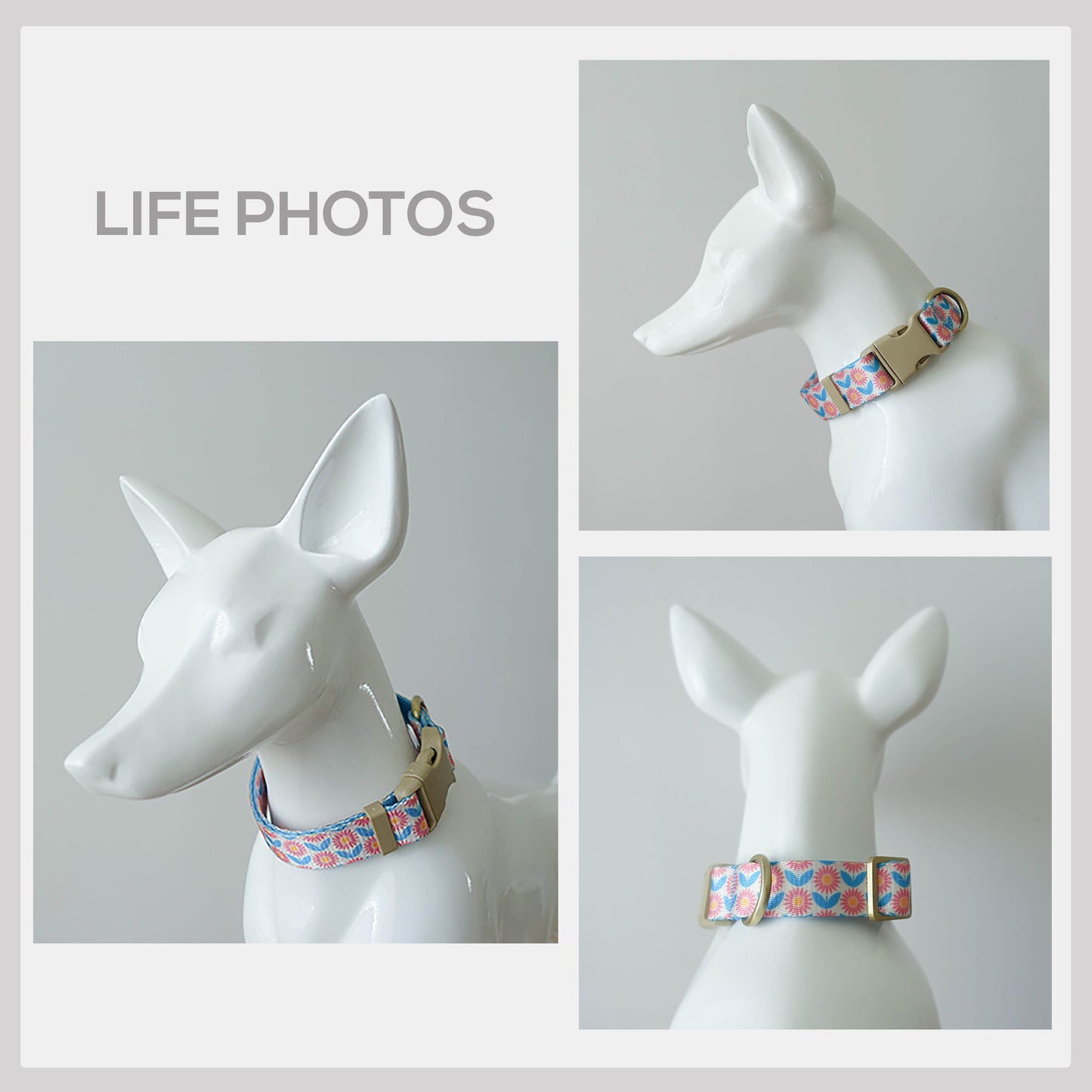 Pink Chrysanthemum Dog Collar and Leash Set, Personalized Engraved Buckle
