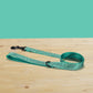 Personalised Green Zebra Dog Collar | Lightweight with Bow & Leash Combo