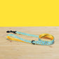 Personalized Dog Collar and Leash Set, Dancing Banana Pattern, Engraved Name Buckle