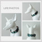 Personalized Christmas Dog Collar and Leash Set, Engraved Name Buckle, Handmade Pet Accessory