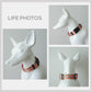 Orange Basket Dog Collar and Leash Set, Personalized Engraved Name Buckle