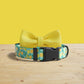 Lemon Tease Dog Collar and Leash Set, Personalized Engraved Buckle, Nylon Fabric, Handmade