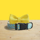 Personalized Dog Collar and Leash Set, Dancing Banana Pattern, Engraved Name Buckle