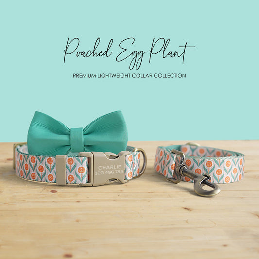 Personalized Poached Egg Plant Dog Collar and Leash Set, Engraved Buckle