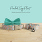 Personalized Poached Egg Plant Dog Collar and Leash Set, Engraved Buckle