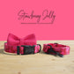Personalized Strawberry Jelly Dog Collar and Leash Set, Engraved Name Buckle