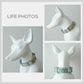 White Fangipani Dog Collar and Leash Set, Personalized Engraved Buckle, Nylon Fabric Handmade Accessory