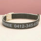 Custom Reflective Dog Collar | PU Leather, No Metal, Lightweight Pet ID
