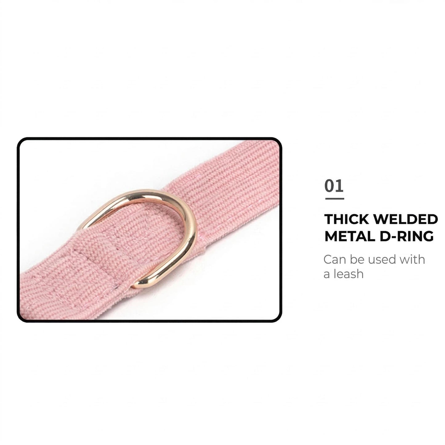 Personalized Corduroy Dog Collar, Laser Engraved Gold Buckle Pet Collar