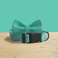 Personalised Green Zebra Dog Collar | Lightweight with Bow & Leash Combo