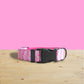 Sleeping Flamingos Pink Lightweight Personalized Dog Collar Set with Engraved Name Buckle & Leash Bowtie