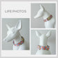 Violet Floral Dog Collar | Lightweight Personalised with Engraved Name Buckle, Leash | Bowtie