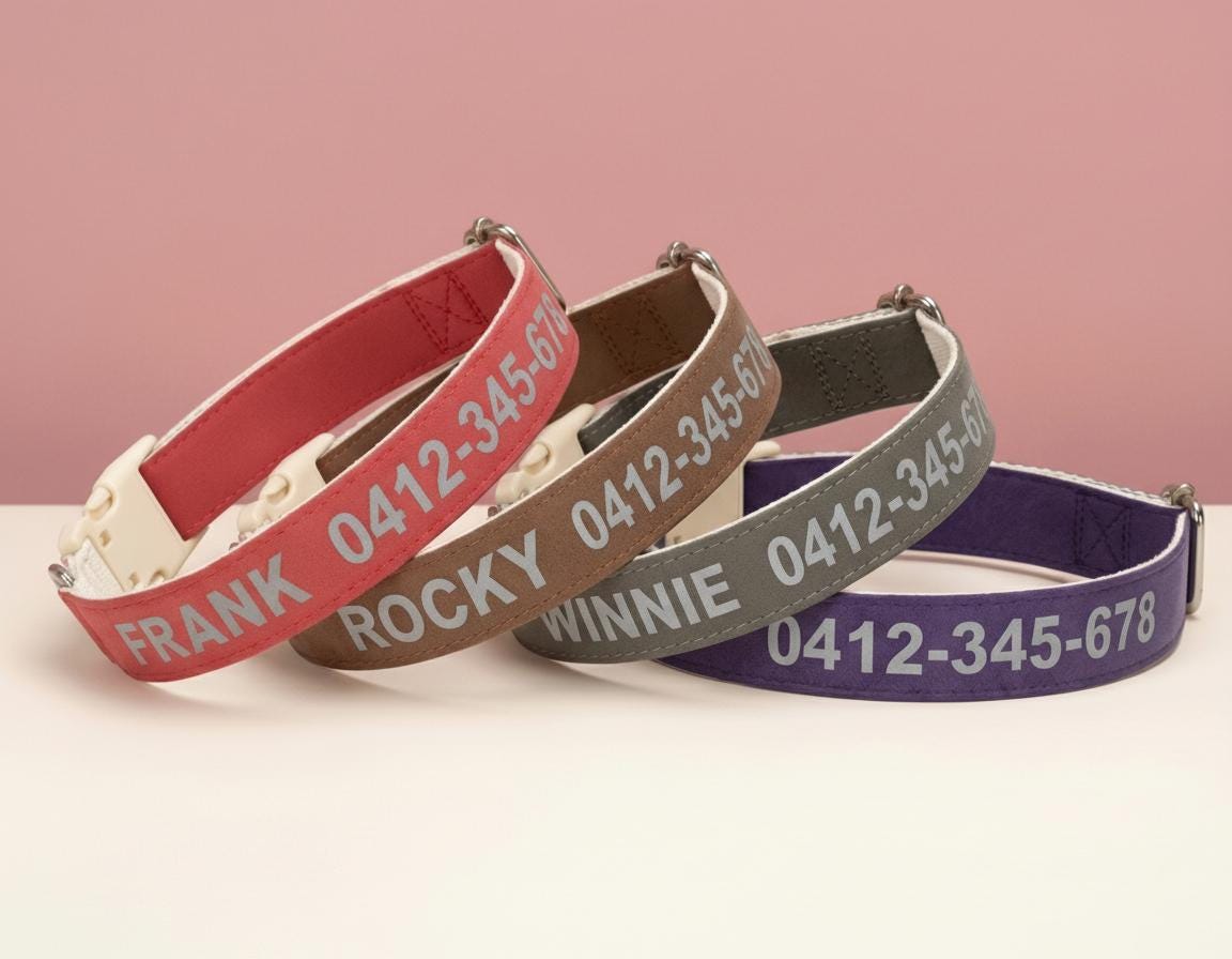 Custom Reflective Dog Collar | PU Leather, No Metal, Lightweight Pet ID