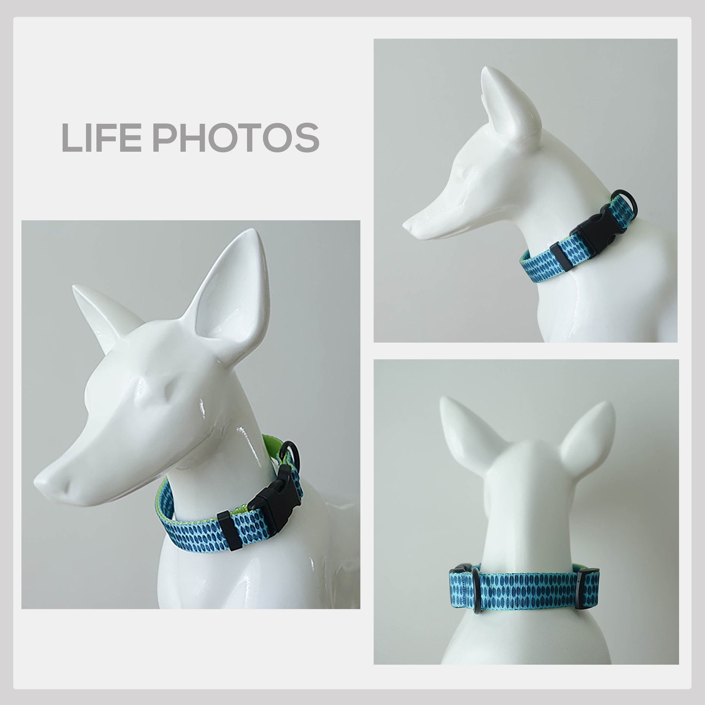 Personalized Green Ink Dog Collar and Leash Set, Engraved Name Buckle