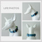Personalized Green Ink Dog Collar and Leash Set, Engraved Name Buckle