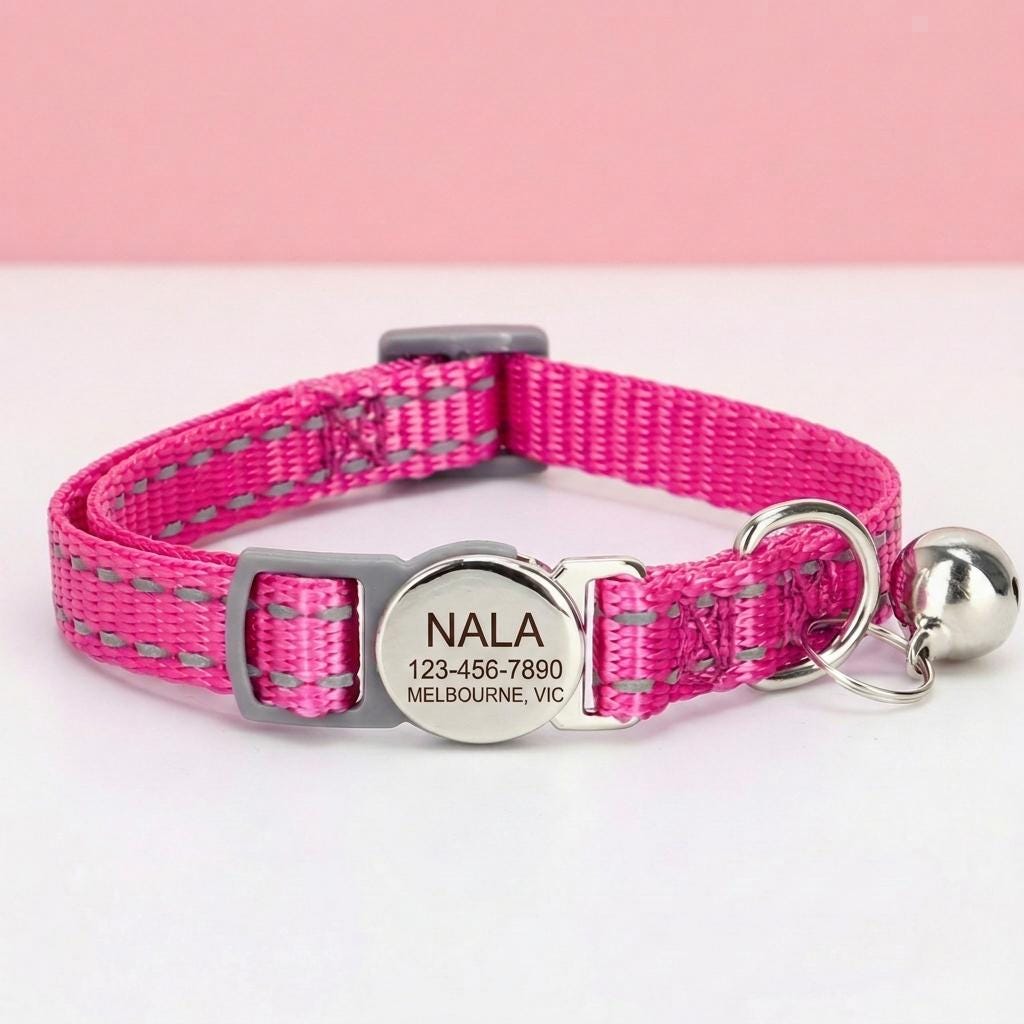 Custom Engraved Kitten Collar | Breakaway Safety Buckle, Adjustable Nylon Pet ID Tag