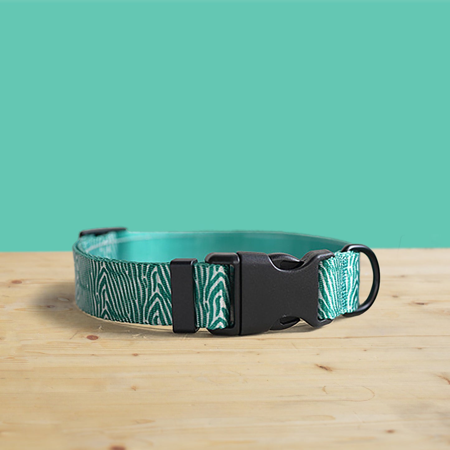 Personalised Green Zebra Dog Collar | Lightweight with Bow & Leash Combo