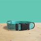 Personalised Green Zebra Dog Collar | Lightweight with Bow & Leash Combo