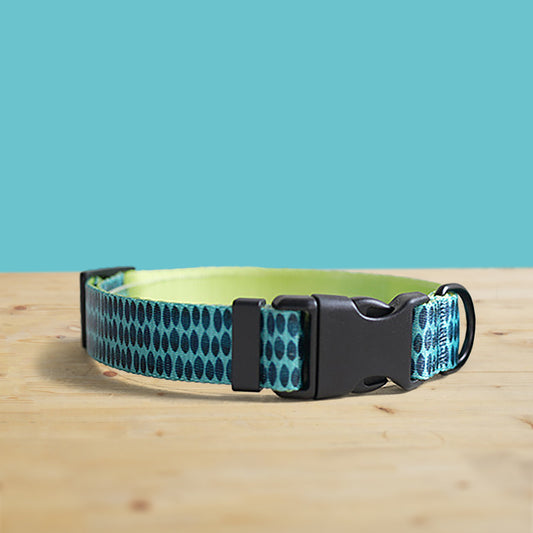 Personalized Green Ink Dog Collar and Leash Set, Engraved Name Buckle