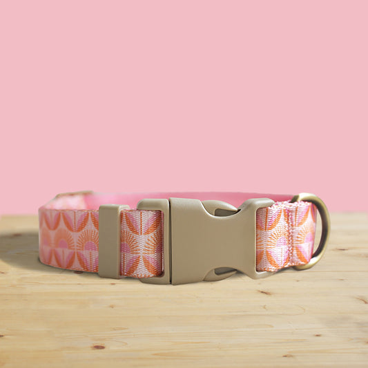 Sunrise Pink Floral Dog Collar Set with Engraved Buckle, Leash, Bowtie