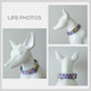 Personalized Blue Tulip Dog Collar and Leash Set, Engraved Name Buckle