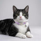 Personalized Cat Collar Safety Buckle | Light Blue Floral Polyester | Adjustable 19-30cm