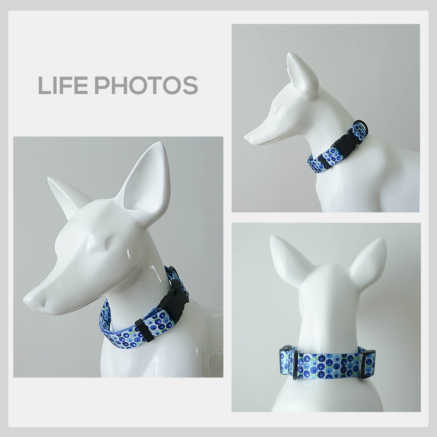 Personalized Blueberry Dog Collar and Leash Set, Engraved Name Buckle, Lightweight Nylon Pet Accessory